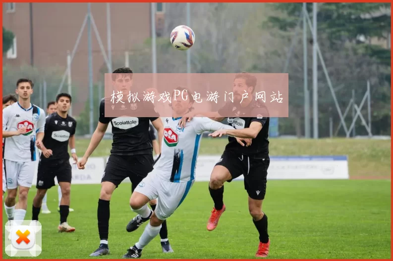 模拟游戏PG电游门户网站