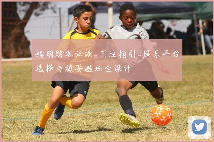 精明赌客必读_下注指引_娱乐平台选择与稳妥避坑全谋计