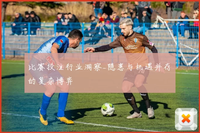 比赛投注行业洞察_隐患与机遇并存的复杂博弈