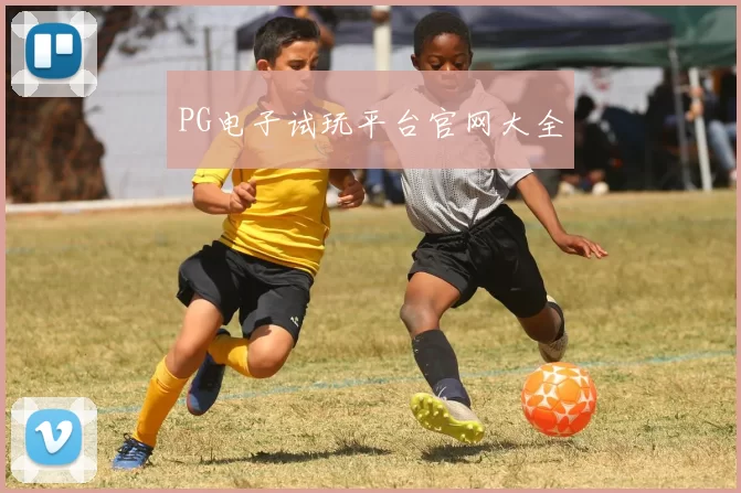 PG电子试玩平台官网大全