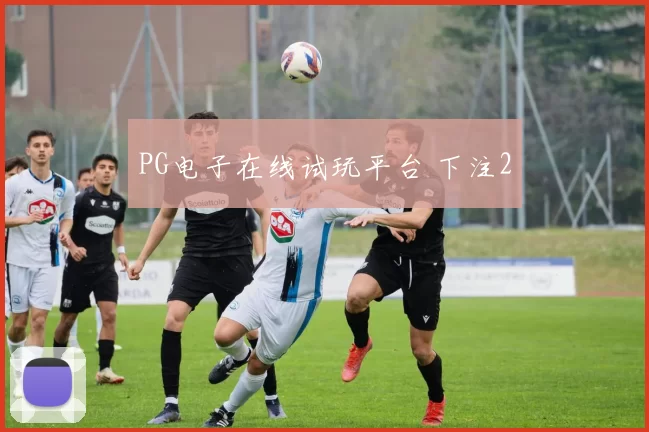PG电子在线试玩平台 下注2