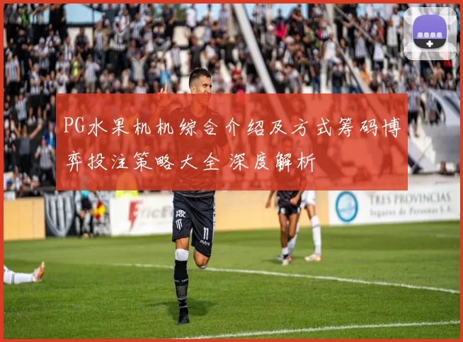 PG水果机机综合介绍及方式筹码博弈投注策略大全 深度解析