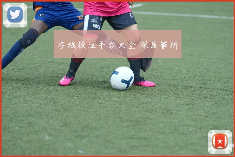 在线投注平台大全 深度解析