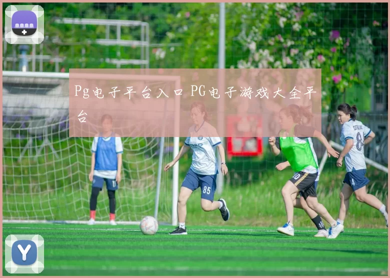 Pg电子平台入口 PG电子游戏大全平台