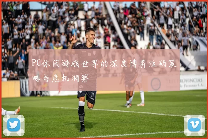 PG休闲游戏世界的深度博弈注码策略与危机洞察
