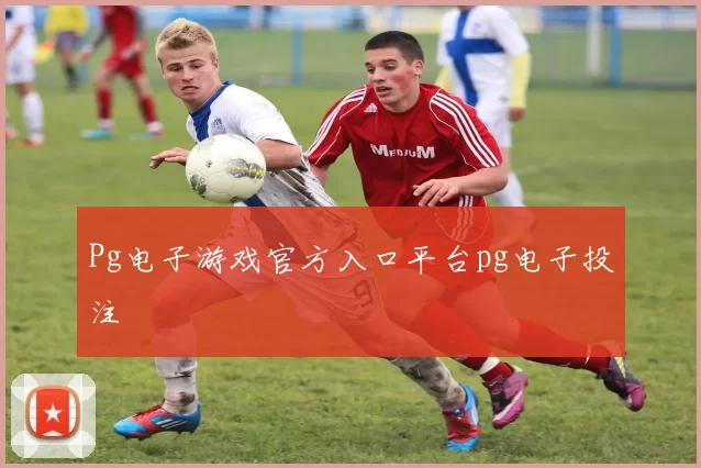 Pg电子游戏官方入口平台pg电子投注