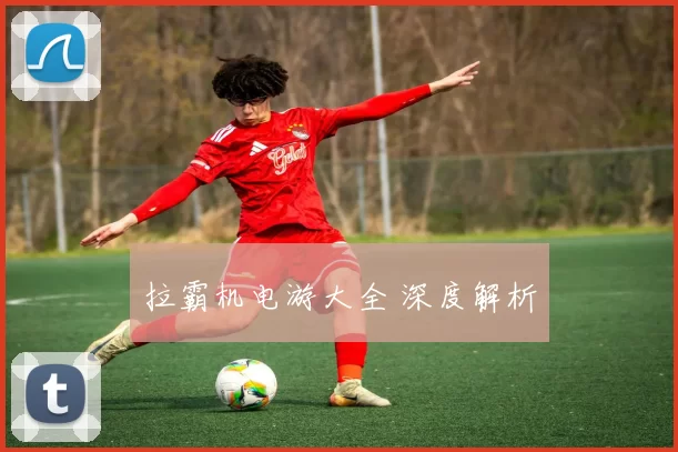 拉霸机电游大全 深度解析