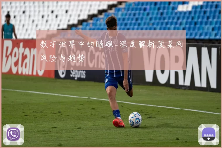 数字世界中的暗礁_深度解析菠菜网风险与趋势