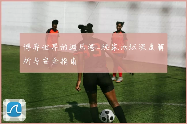 博弈世界的避风港_玩家论坛深度解析与安全指南