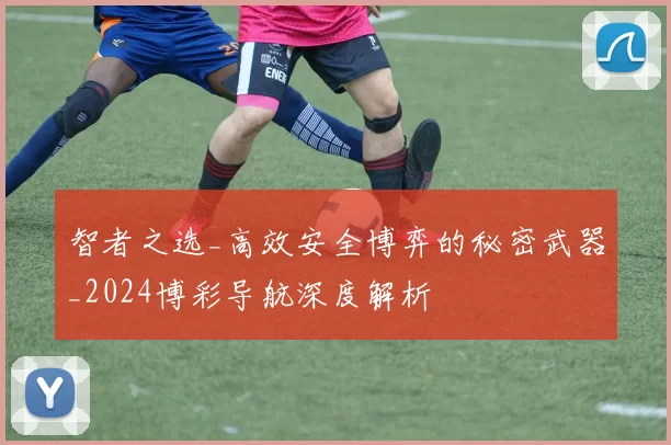 智者之选_高效安全博弈的秘密武器_2024博彩导航深度解析