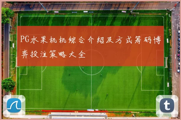 PG水果机机综合介绍及方式筹码博弈投注策略大全