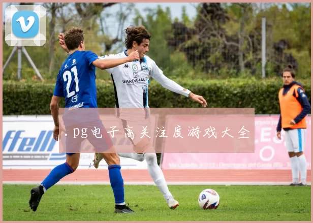 .pg电子高关注度游戏大全