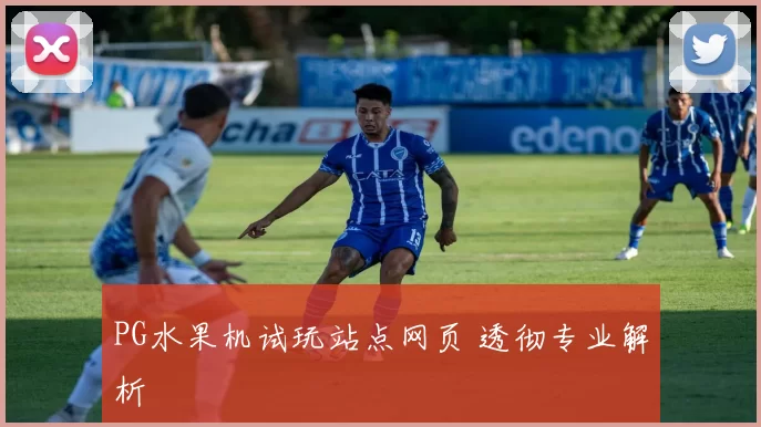 PG水果机试玩站点网页 透彻专业解析