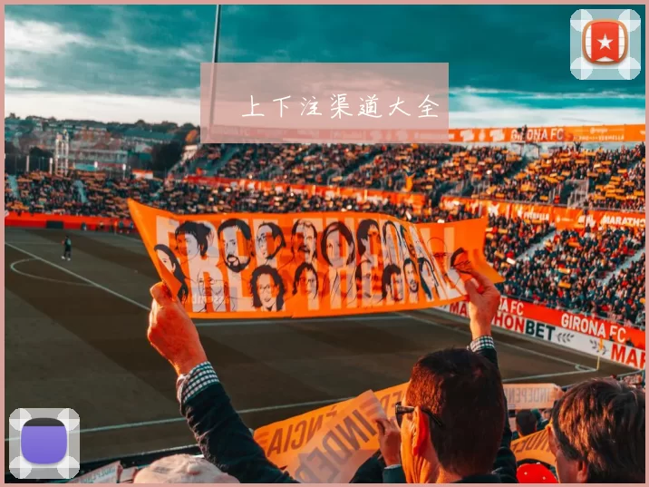 網上下注渠道大全