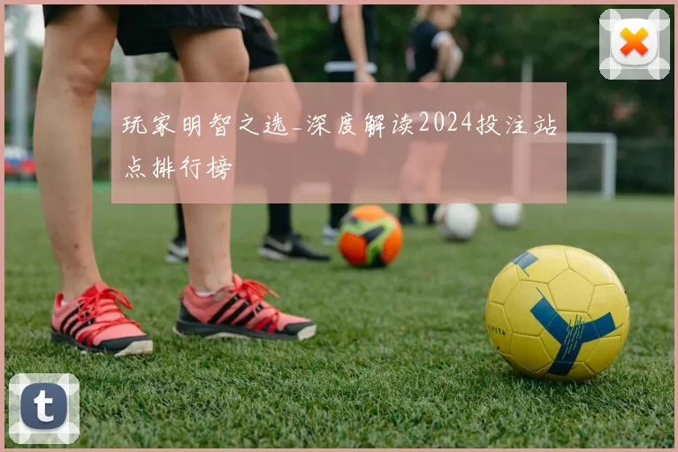 玩家明智之选_深度解读2024投注站点排行榜