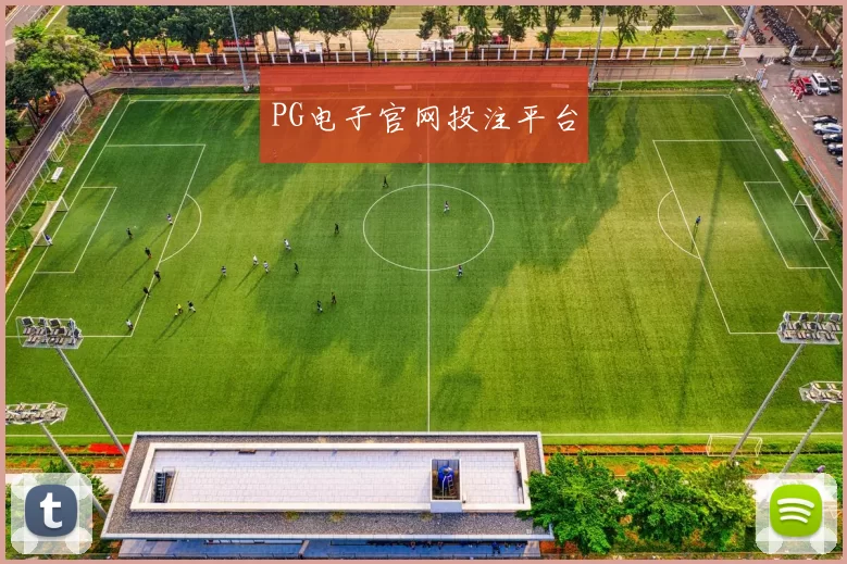 PG电子官网投注平台