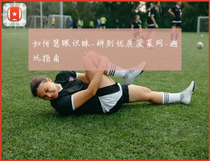 如何慧眼识珠_辨别优质菠菜网_避坑指南