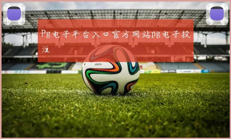 Pg电子平台入口官方网站pg电子投注