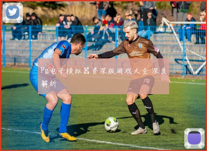 Pg电子模拟器资深版游戏大全 深度解析