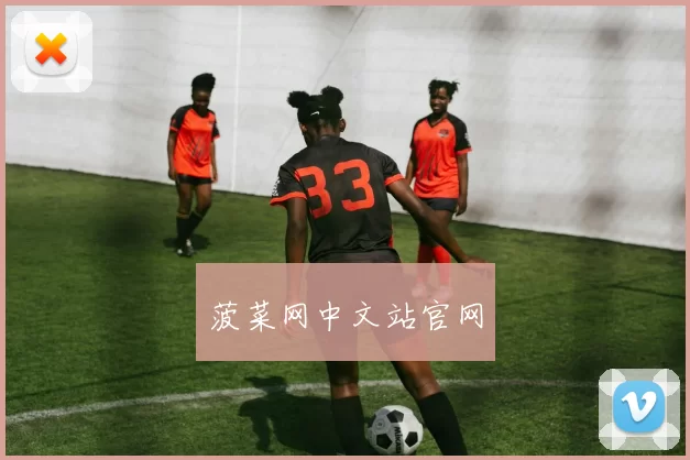 菠菜网中文站官网