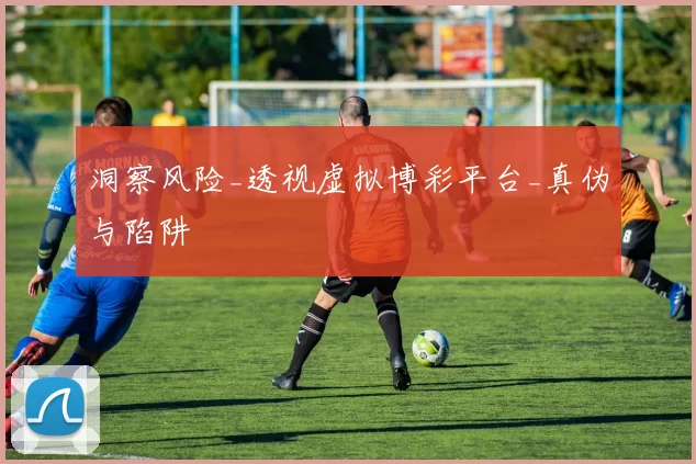 洞察风险_透视虚拟博彩平台_真伪与陷阱