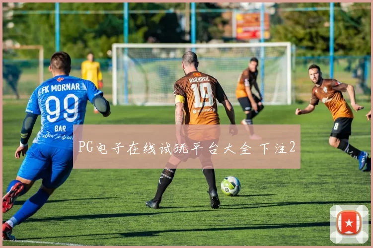 PG电子在线试玩平台大全 下注2