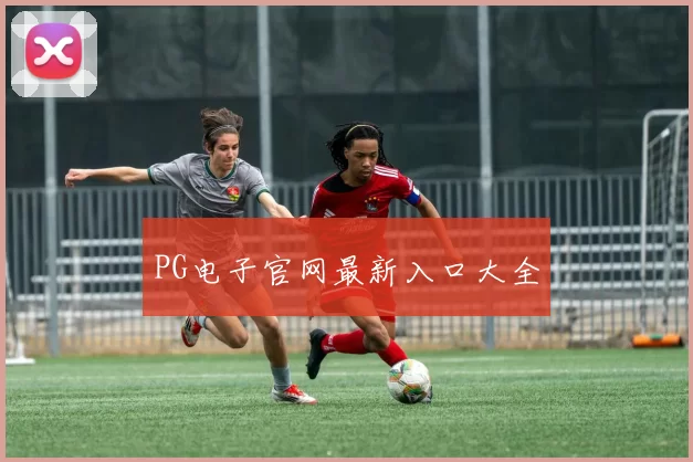 PG电子官网最新入口大全